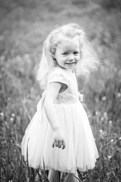 Little Girl Pink Dress Field — Stock Photo, Image