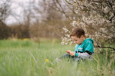 Çocuk çiçek açan ağaçlarda, çocuk oyuncu seçimini inceliyor.
