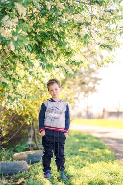 Çiçekli bir kuş kirazının altında bir çocuk