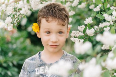 Kulağının arkasında papatya çayı olan çocuk.