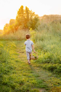 Ayçiçekleri olan bir tarlada çocuk, yaz
