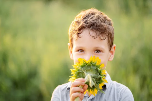 Junge Auf Einem Feld Mit Sonnenblumen Sommer — Stockfoto