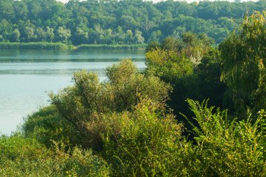 Nehir ve her iki kıyısında, yaz yatay