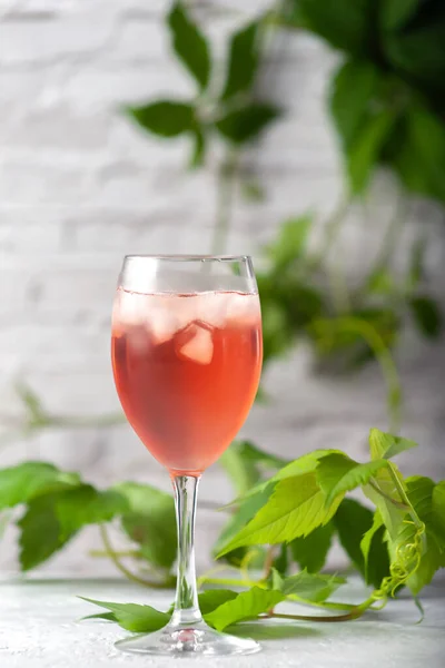 Homemade compote. Refreshing chilled summer fruit drink — Stock Photo, Image