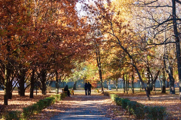 Alley autumn park — Stock Photo, Image