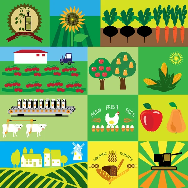 Agricultural production. Icons for organic milk — Stock Vector