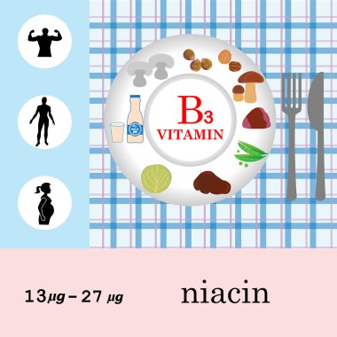 Vitamin B3 beslenme Infographic 
