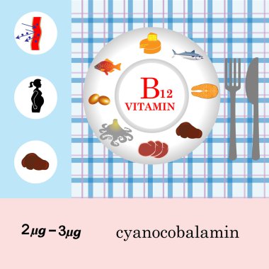 B12 vitamini beslenme Infographic 