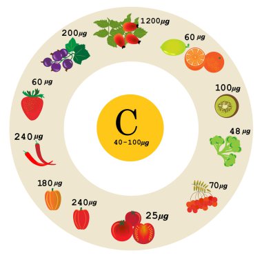 Vitamini Cnutrition Infographic 