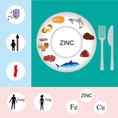 Çinko mineral beslenme Infographic