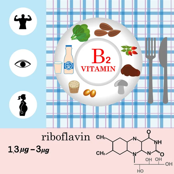 Infográfico nutricional de vitamina B2 —  Vetores de Stock