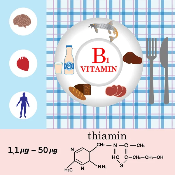 Infografica nutrizionale della vitamina B1 — Vettoriale Stock