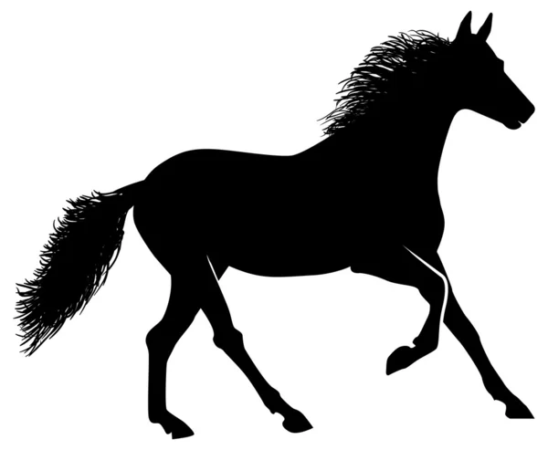 Silhouette noire de cheval — Image vectorielle