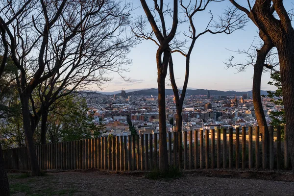 Barcelona Španělsko Jarní Pohled Město Kopce Montjuic Stromy Parku Dřevěný — Stock fotografie