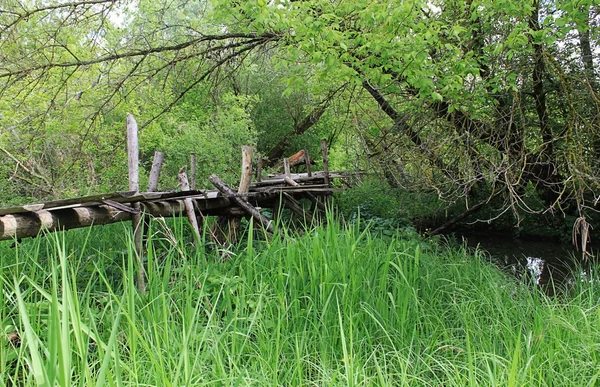 Eğer tahta köprüden yürüyerek kırık tehlikeli