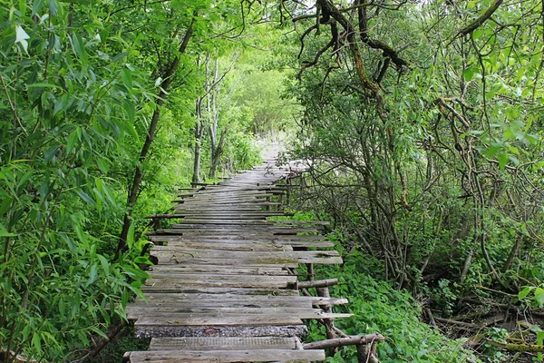 Berbahaya jika jembatan kayu rusak berjalan kaki — Stok Foto