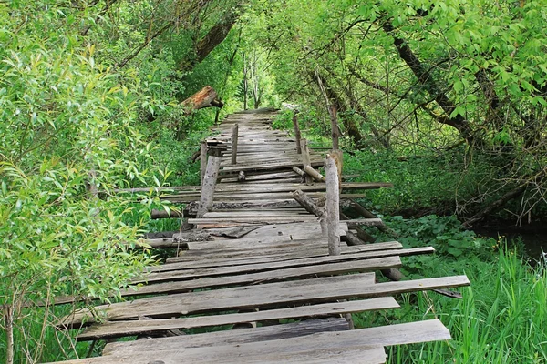 Dangerous if broken wooden bridge on foot