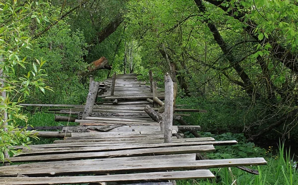 Gefährlich, wenn kaputte Holzbrücke zu Fuß — Stockfoto