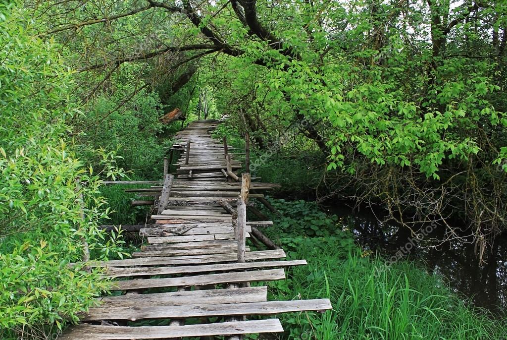 Puente de madera peligroso si roto a pie: fotografía de stock