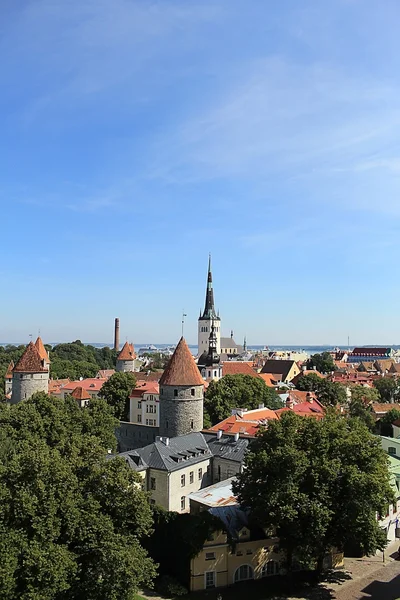 Tallinn Old Town — Stock Photo, Image