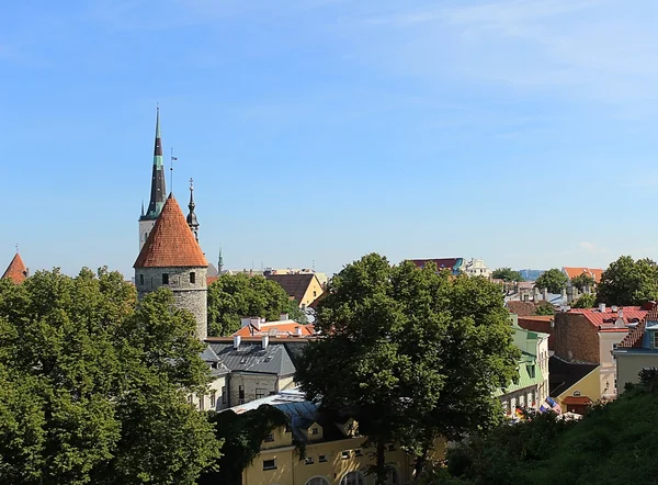 Tallinns gamla stad — Stockfoto