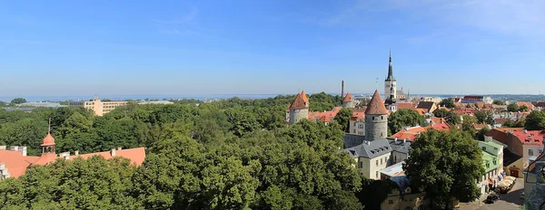 Stare miasto w Tallinie — Zdjęcie stockowe