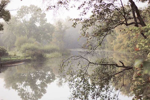 Göl sonbahar sabahı