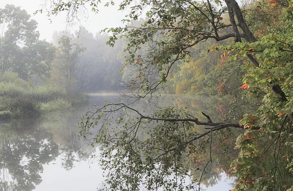 Göl sonbahar sabahı