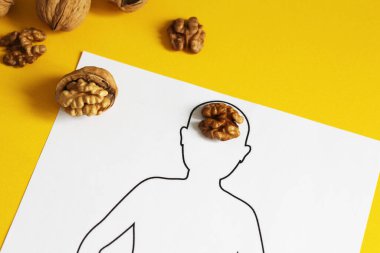 Ceviz, insan beyni şeklinde. Açık ceviz insan beynine benziyor. Beyin modeli. Sarı arka plan. Anatomi. Çalışma odası. Ceviz şeklinde bir beynin anatomik konsepti.