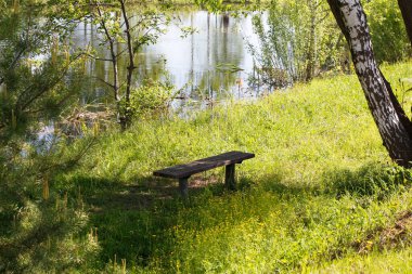 Yazın huş ağacı ormanında gölet. Güzel doğa. Yeşil renkler. Takvim için fotoğraf. Üzerinde kimse olmayan ahşap bir bank..