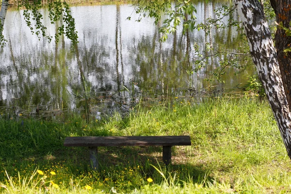 Yazın huş ağacı ormanında gölet. Güzel doğa. Yeşil renkler. Takvim için fotoğraf. Üzerinde kimse olmayan ahşap bir bank..