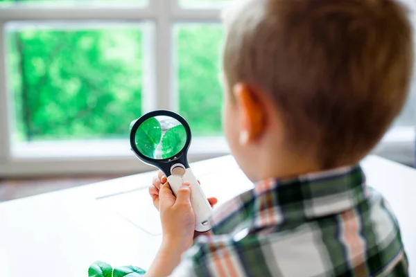 Enfant Examine Structure Une Plante Verte Travers Une Loupe Étude — Photo