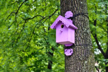 Ağaca bağlanmış leylak renkli bir kuş evi.