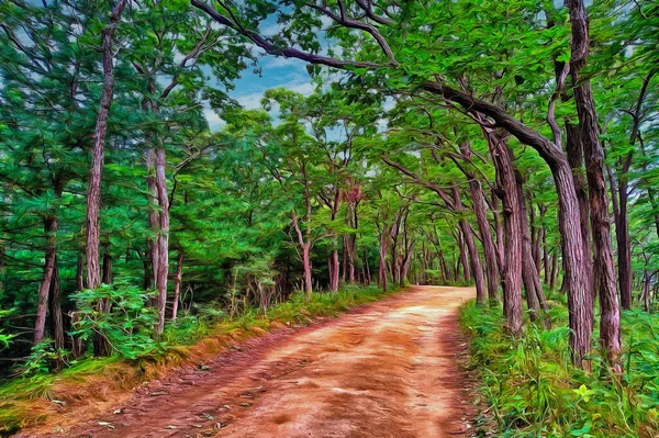 De weg slingert door een dicht dennenbos — Stockfoto