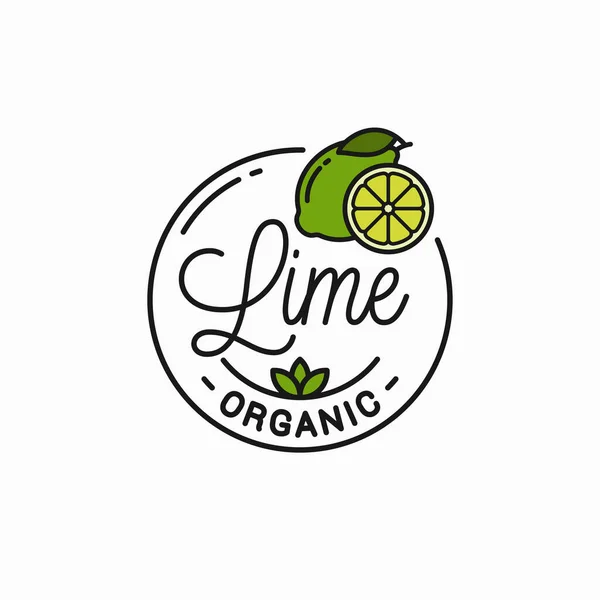 Lime fruit logo. Round linear logo of lime slice — Stock Vector