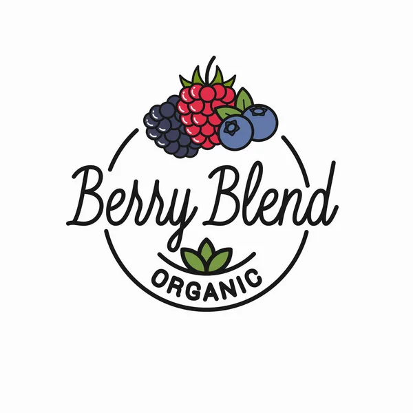 Berry blend logo. Ronde lineaire logo van blend — Stockvector