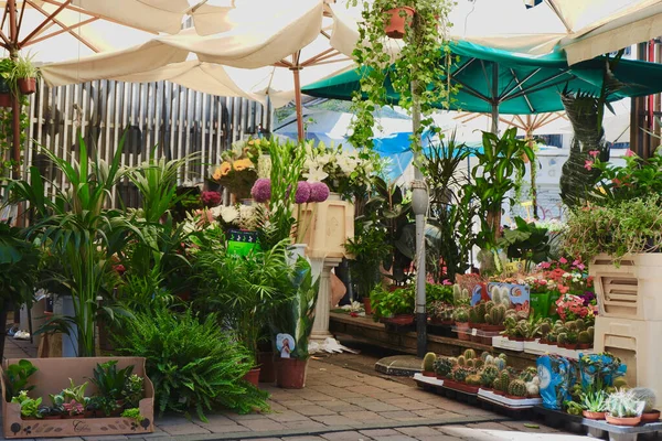 Madrid Spanien Augusti 2020 Blomstermarknaden Utomhus Nära Tunnelbanestationen Tirso Molina — Stockfoto