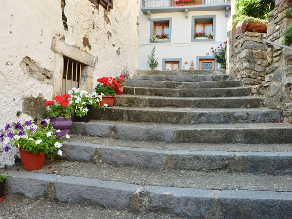Steintreppe Mit Bunten Blumen Gemütlichen Dorf Sallent Gallego Huesca Spanien — Stockfoto