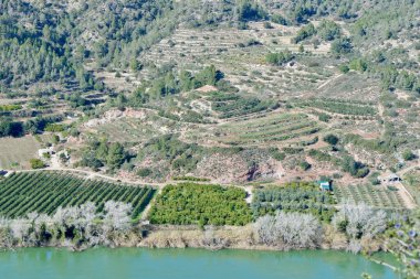 Nehir kıyısı boyunca uzanan teraslı üzüm bağları ve zeytin koruluklarının bulunduğu, kırsal kesimdeki tepelerle çevrili nefes kesici bir manzara. Sahne, açık bir gökyüzünün altında yemyeşil..