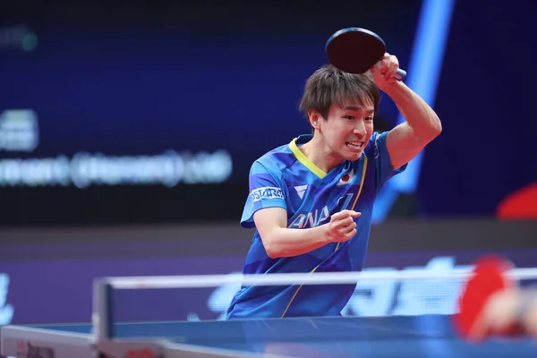 Японський Тенісист Настільного Тенісу Кокі Ніва Грає Проти Китайського Настільного — стокове фото