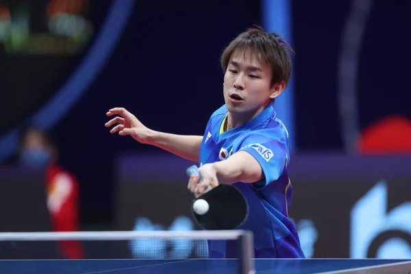 Японський Тенісист Настільного Тенісу Кокі Ніва Грає Проти Китайського Настільного — стокове фото