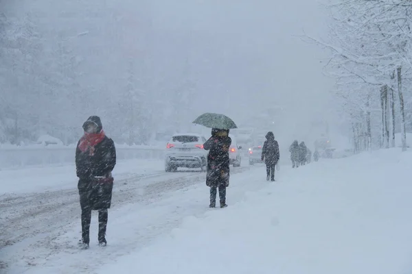 Przez Silne Zimne Powietrze Ciężka Burza Śnieżna Uderza Weihai City — Zdjęcie stockowe