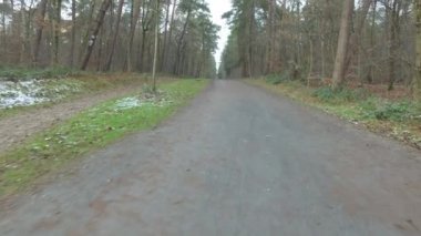 Bir orman yolu yürüyüş