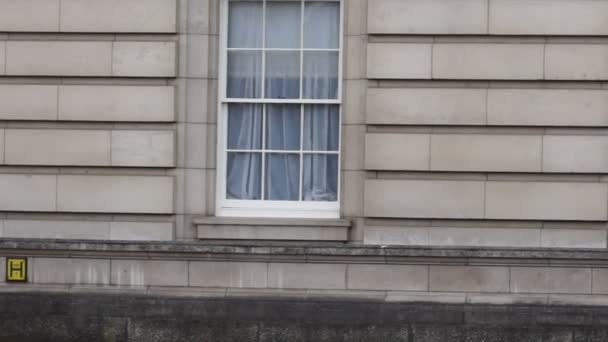 Guarda do Palácio de Buckingham — Vídeo de Stock