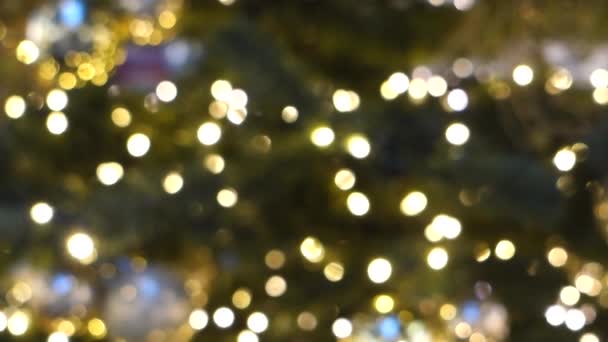 Lights of a christmas tree — Stock Video