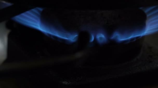 Blue flame of gas stove — Stock Video