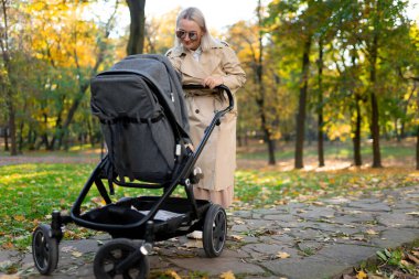 Anne ve bebek arabası sonbahar parkında yürüyor.