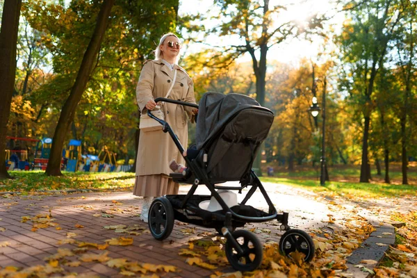 Μαμά Ένα Καροτσάκι Περπατάει Στο Πάρκο Του Φθινοπώρου — Φωτογραφία Αρχείου