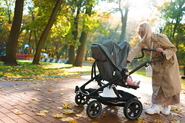Mãe Com Carrinho Bebê Andando Parque Outono — Fotografia de Stock