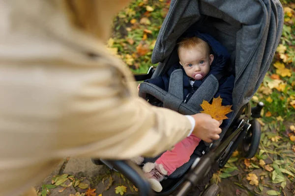 Mather Ενώ Περπάτημα Στο Πάρκο Φθινόπωρο Δείχνει Μωρό Στο Καρότσι — Φωτογραφία Αρχείου